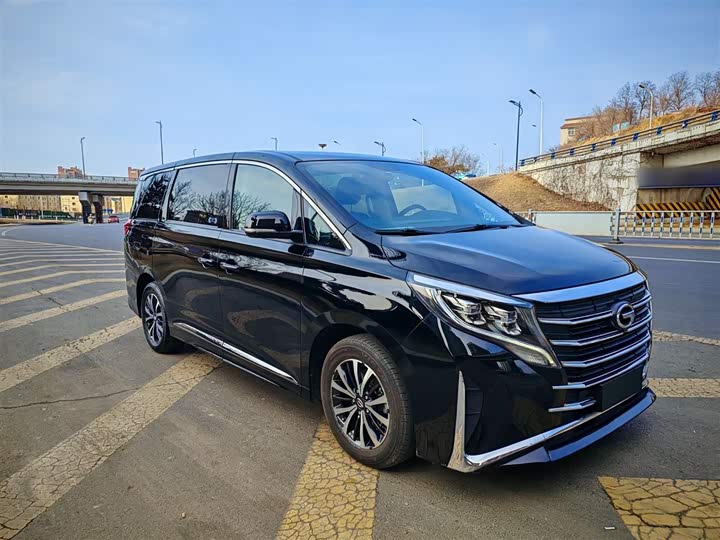 GAC Trumpchi M8 2024 2024款 领秀系列 390T 尊享版
