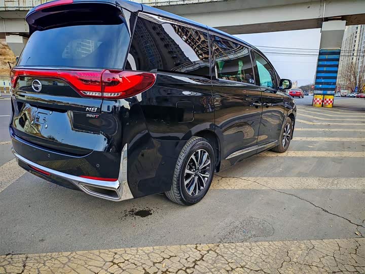 GAC Trumpchi M8 2024 2024款 领秀系列 390T 尊享版
