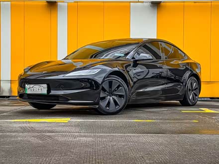 Tesla Model 3 2023 2023款 后轮驱动版