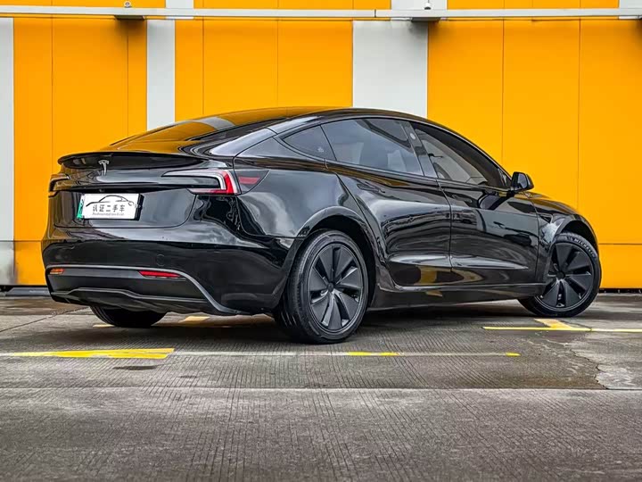 Tesla Model 3 2023 2023款 后轮驱动版