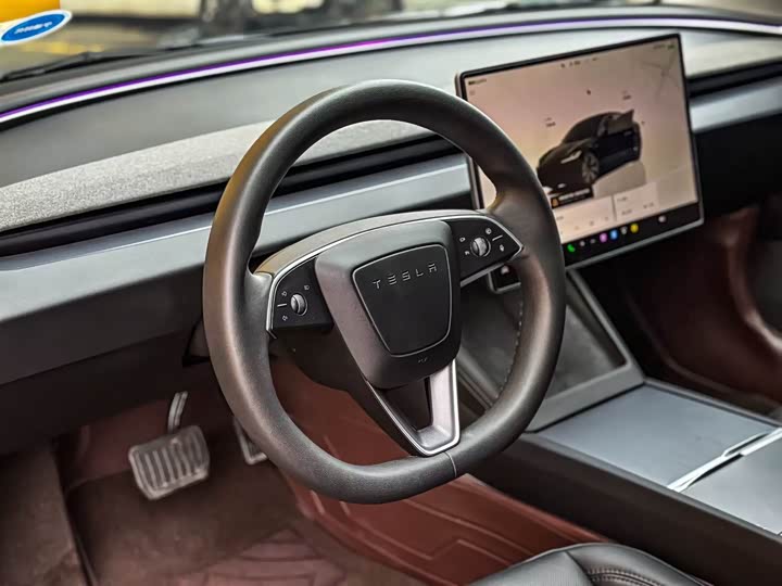 Tesla Model 3 2023 2023款 后轮驱动版