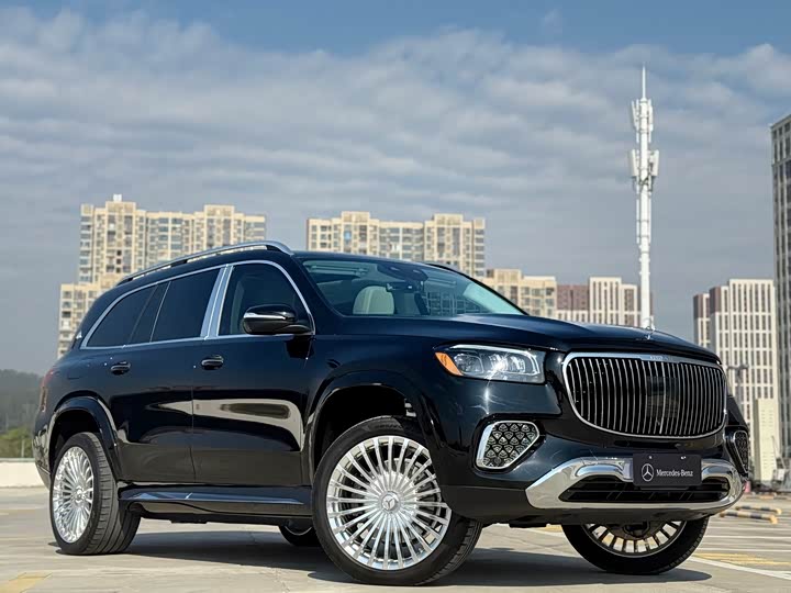 Mercedes-Benz GLS-Class 2024 2024款 GLS 450 4MATIC 豪华型