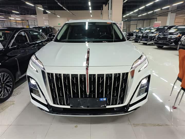 Hongqi HS3 Hybrid 2024 2024款 115km 劲为版
