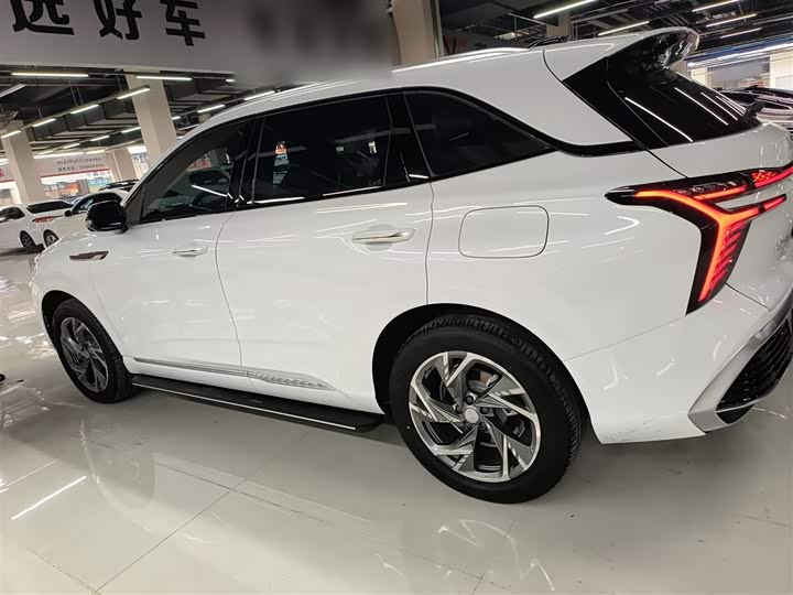 Hongqi HS3 Hybrid 2024 2024款 115km 劲为版