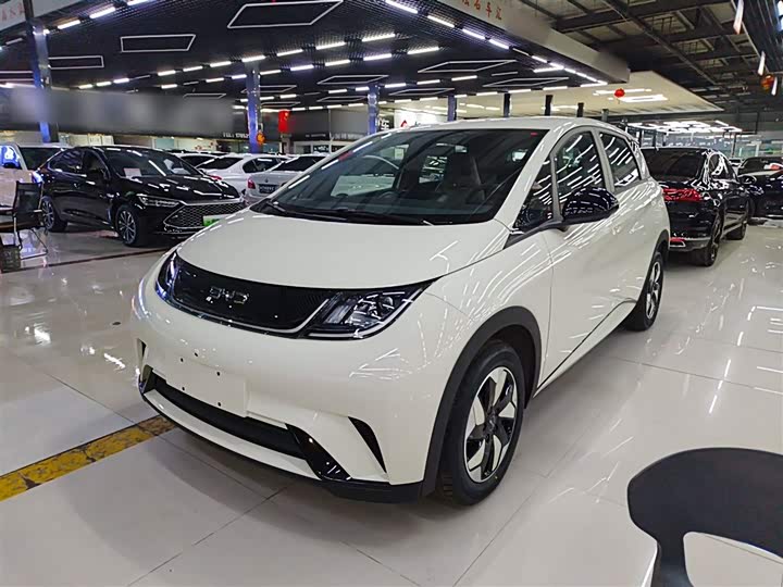 BYD Dolphin 2025 2025款 420km 自由版
