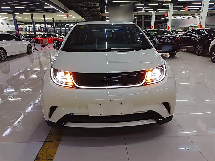 BYD Dolphin 2025 2025款 420km 自由版