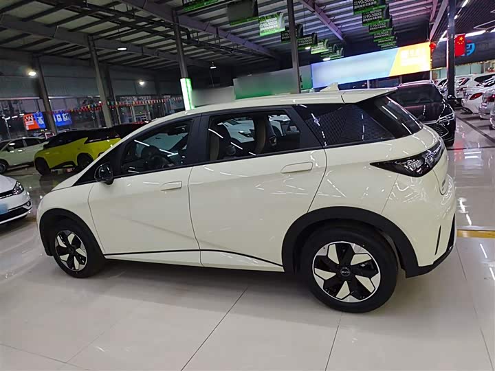 BYD Dolphin 2025 2025款 420km 自由版