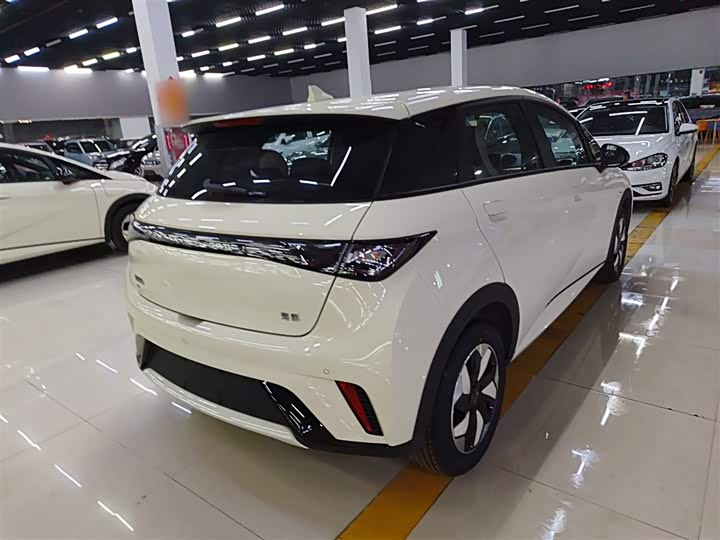 BYD Dolphin 2025 2025款 420km 自由版