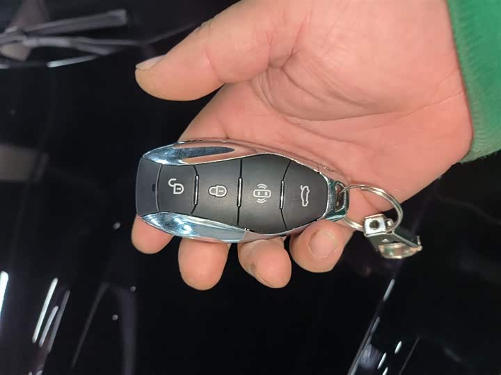 Hongqi HS3 Hybrid 2024 2024款 115km 劲为版