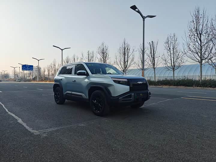 BYD FangChengBao Titanium 3 (Tai 3) 2025 2025款 501KM 后驱Max版