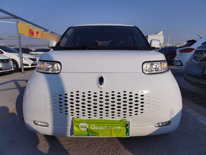 Ora White Cat 2020 2020款 360km 豪华型