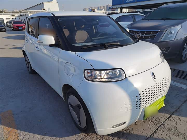 Ora White Cat 2020 2020款 360km 豪华型