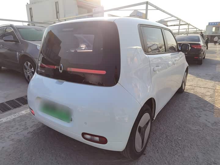 Ora White Cat 2020 2020款 360km 豪华型