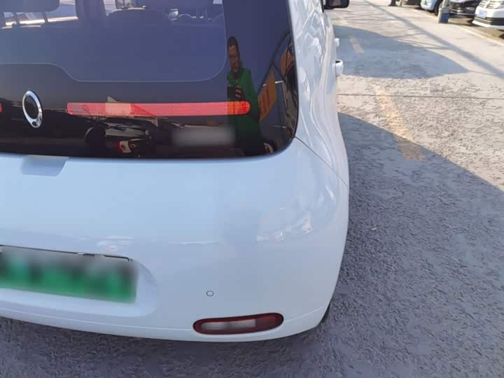 Ora White Cat 2020 2020款 360km 豪华型