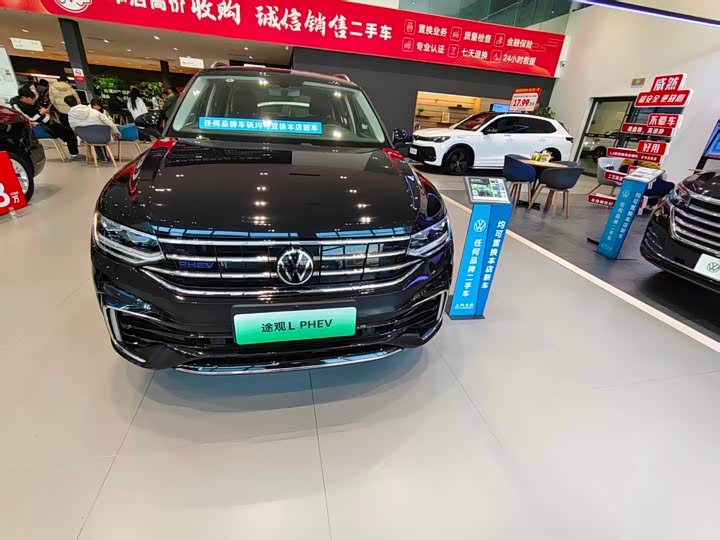 Volkswagen Tiguan L Hybrid 2023 2023款 430PHEV 插电混动尊贵版