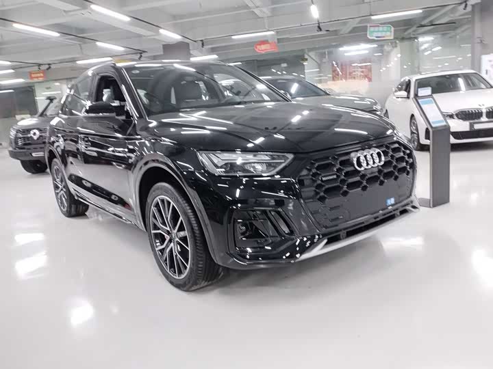 Audi Q5L 2025 2025款 45周年典藏版 45 TFSI 豪华动感型
