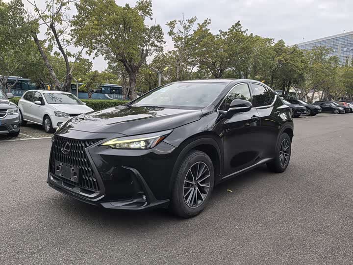 Lexus NX 2023 2023款 260 前驱 创悦版