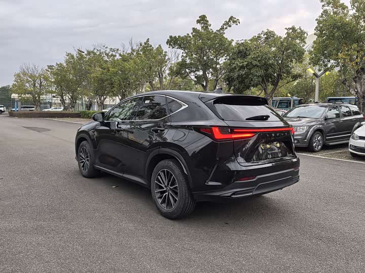 Lexus NX 2023 2023款 260 前驱 创悦版