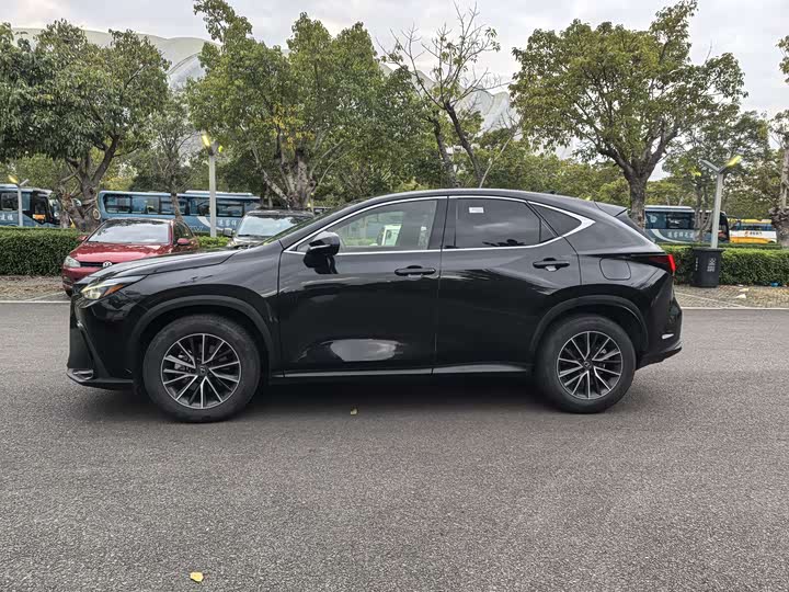 Lexus NX 2023 2023款 260 前驱 创悦版