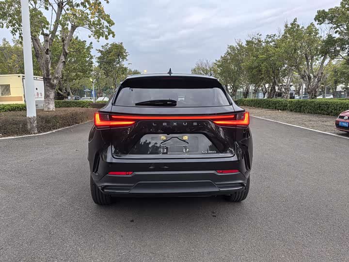 Lexus NX 2023 2023款 260 前驱 创悦版