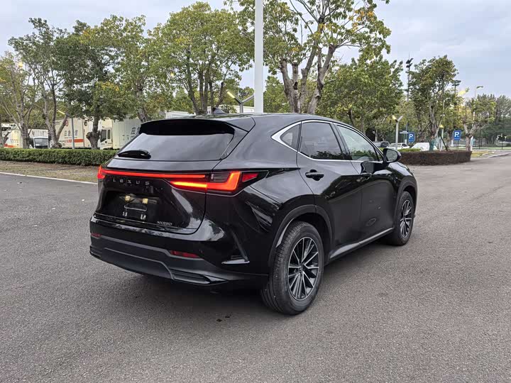 Lexus NX 2023 2023款 260 前驱 创悦版