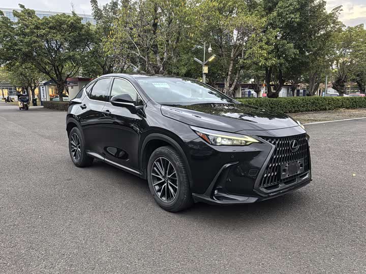 Lexus NX 2023 2023款 260 前驱 创悦版
