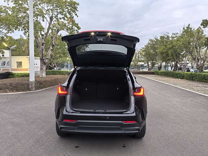 Lexus NX 2023 2023款 260 前驱 创悦版