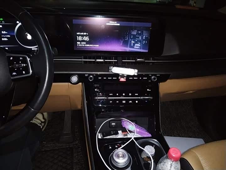 Kia Carnival 2021 2021款 2.0T 旗舰版