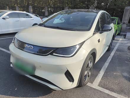 BYD Dolphin 2025 2025款 智驾版 410km 时尚版