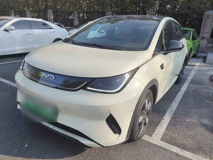 BYD Dolphin 2025 2025款 智驾版 410km 时尚版