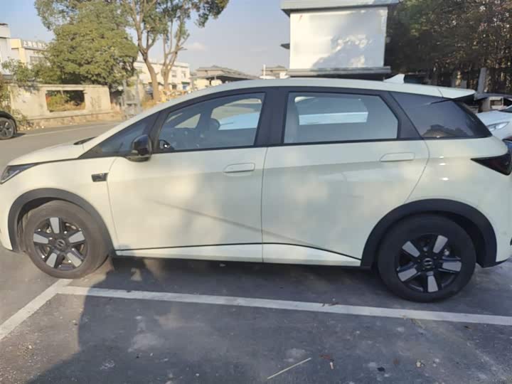 BYD Dolphin 2025 2025款 智驾版 410km 时尚版