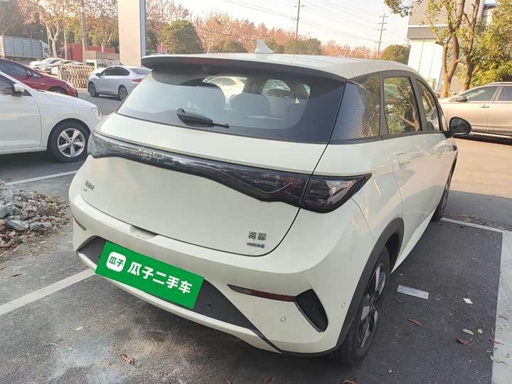 BYD Dolphin 2025 2025款 智驾版 410km 时尚版