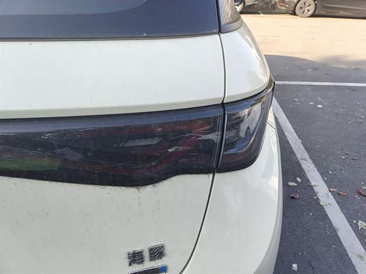 BYD Dolphin 2025 2025款 智驾版 410km 时尚版