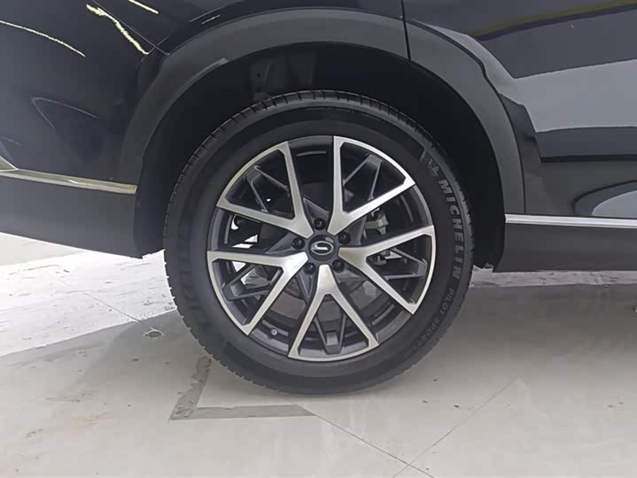 GAC Trumpchi GS8 2024 2024款 领航系列 2.0TGDI 两驱豪华智联版