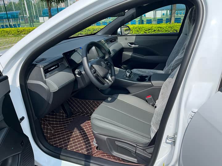 BYD Qin Plus 2025 2025款 DM-i 智驾版 55KM领先型