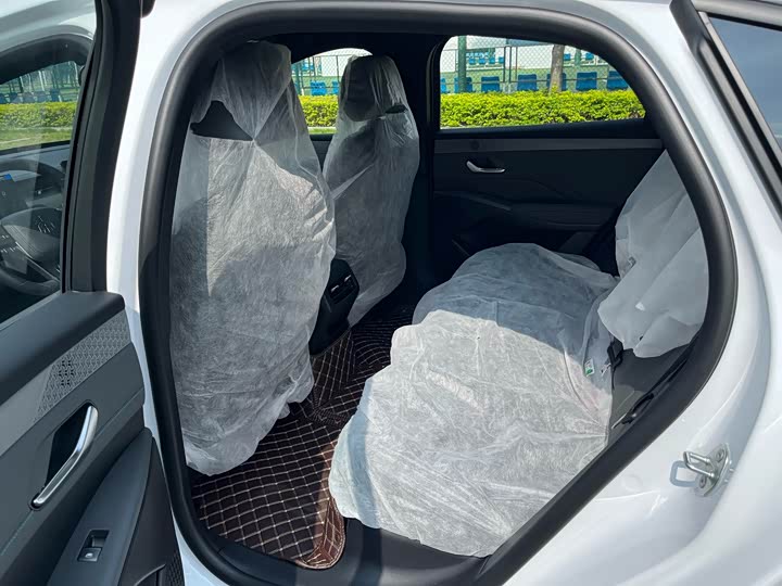 BYD Qin Plus 2025 2025款 DM-i 智驾版 55KM领先型