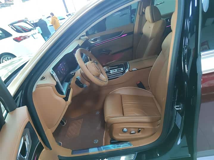 Hongqi H9 2025 2025款 改款 2.0T 两驱旗享豪华商务版 5座