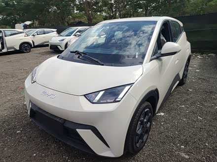 BYD Seagull 2025 2025款 305km 自由版