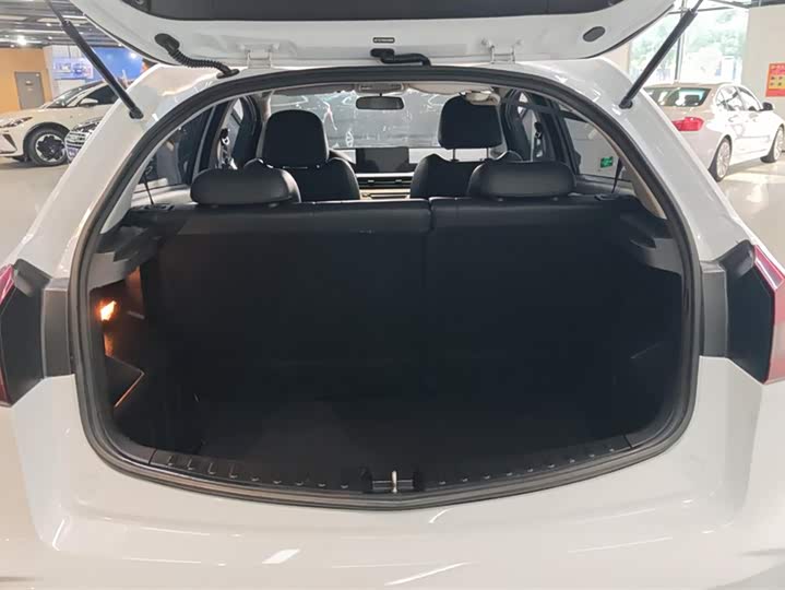 Geely Geometry EX3 2021 2021款 坚强牛牛