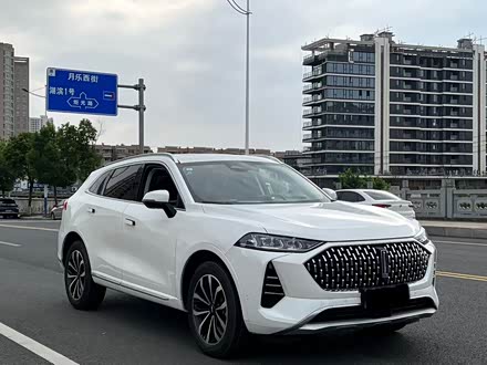 Wey Mocha 2021 2021款 2.0T 两驱特醇版