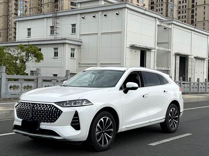 Wey Mocha 2021 2021款 2.0T 两驱特醇版