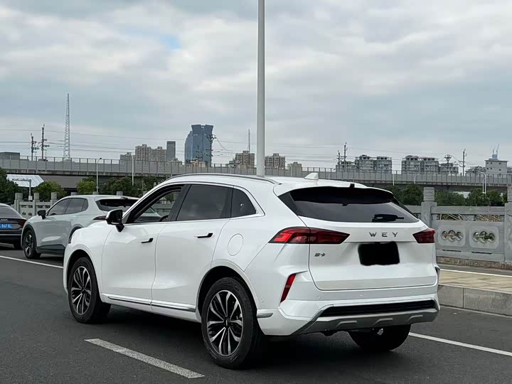 Wey Mocha 2021 2021款 2.0T 两驱特醇版