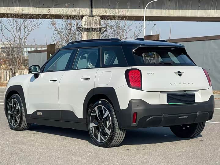 2025 Mini Aceman
