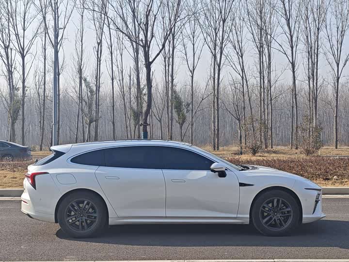 2024 Hozon S Hunting