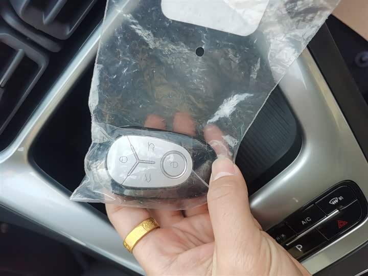 Geely Galaxy Geome 2026 2026款 410km 自在版