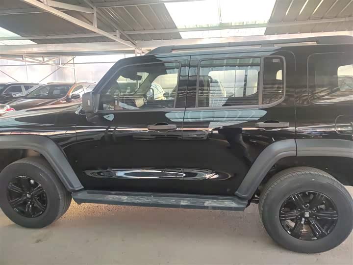 Tank 300 2024 2024款 2.0T 挑战者