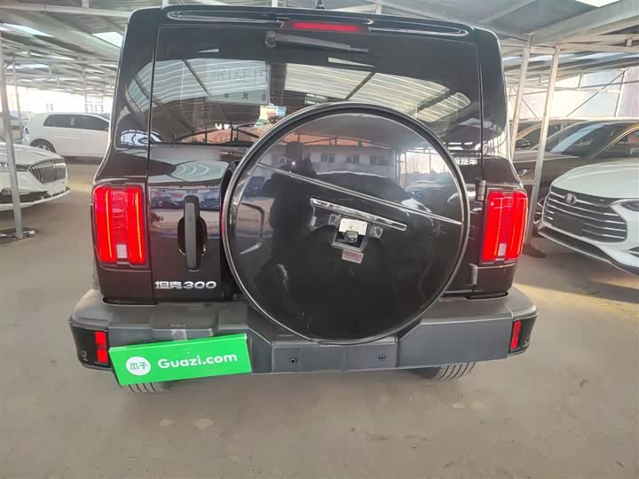 Tank 300 2024 2024款 2.0T 挑战者