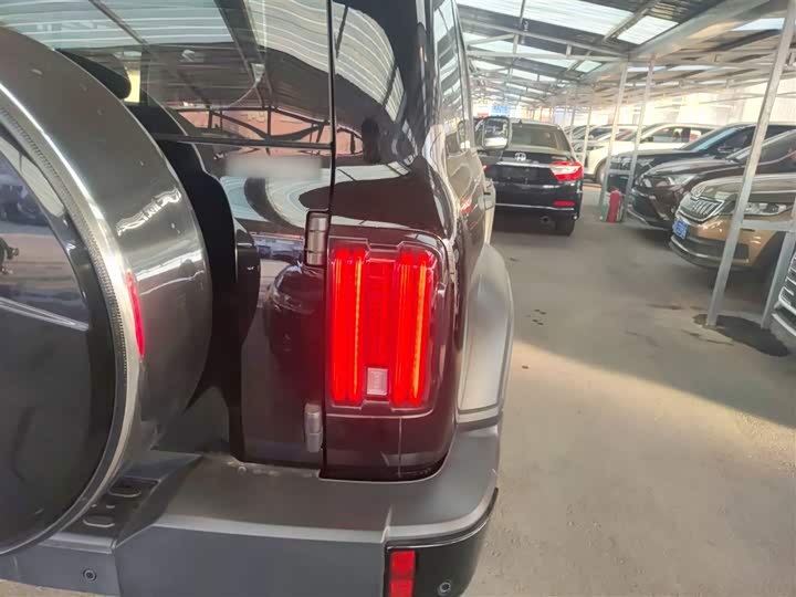 Tank 300 2024 2024款 2.0T 挑战者