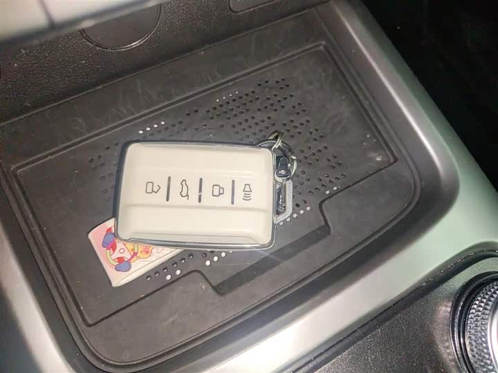 Tank 300 2024 2024款 2.0T 挑战者