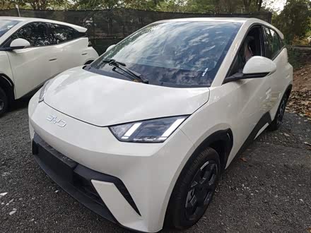 BYD Seagull 2025 2025款 305km 自由版